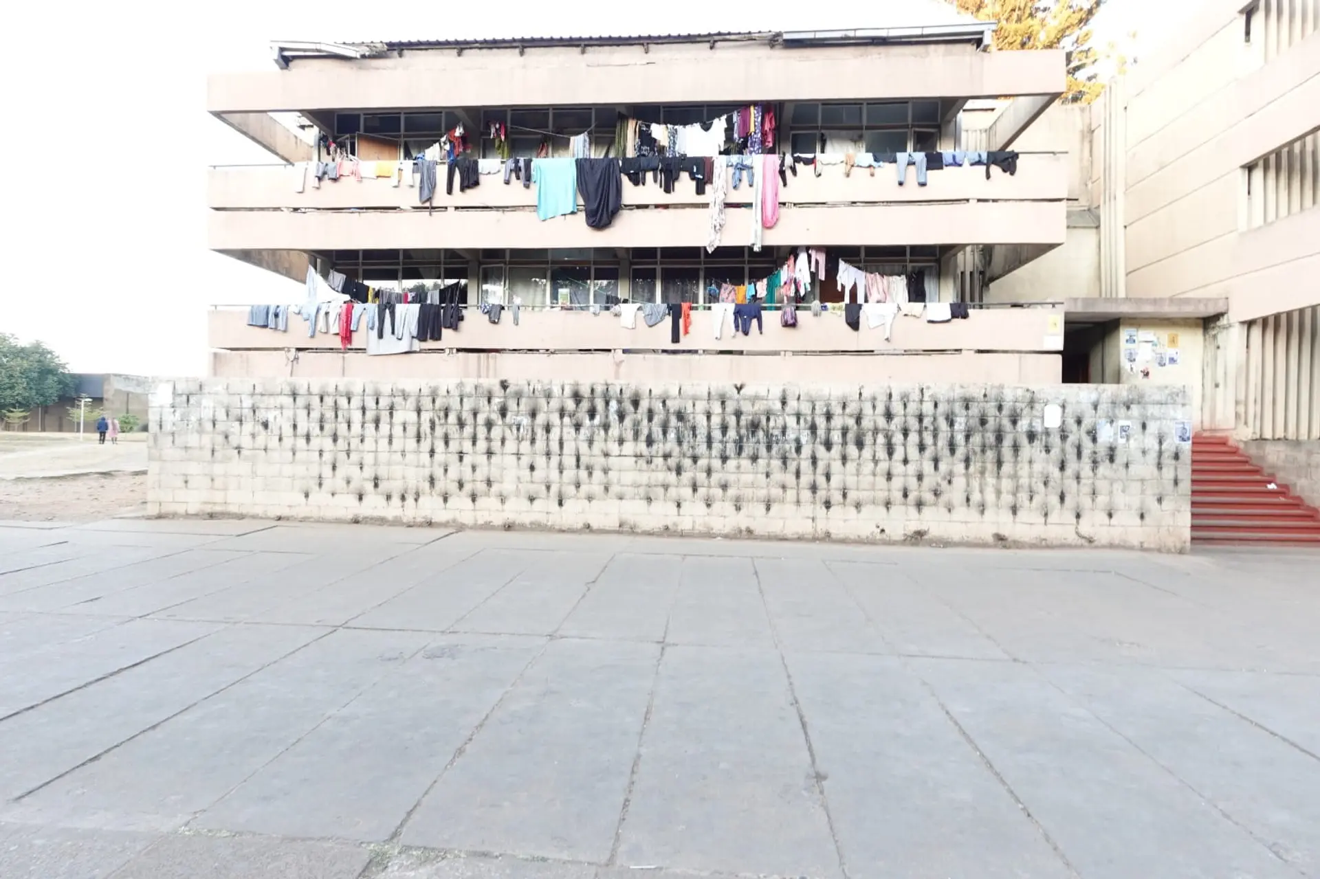 Monk Square Highlight 4